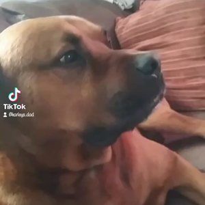 Meet your Posher, Rob